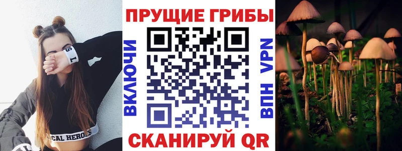 Псилоцибиновые грибы Magic Shrooms  Кохма 
