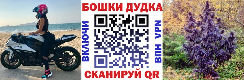 продажа наркотиков  Кохма  Конопля марихуана 